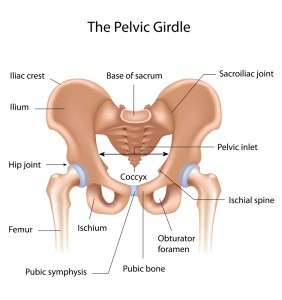sacrum